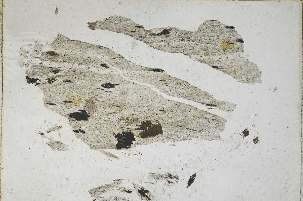 Plane Polarized, S8560
