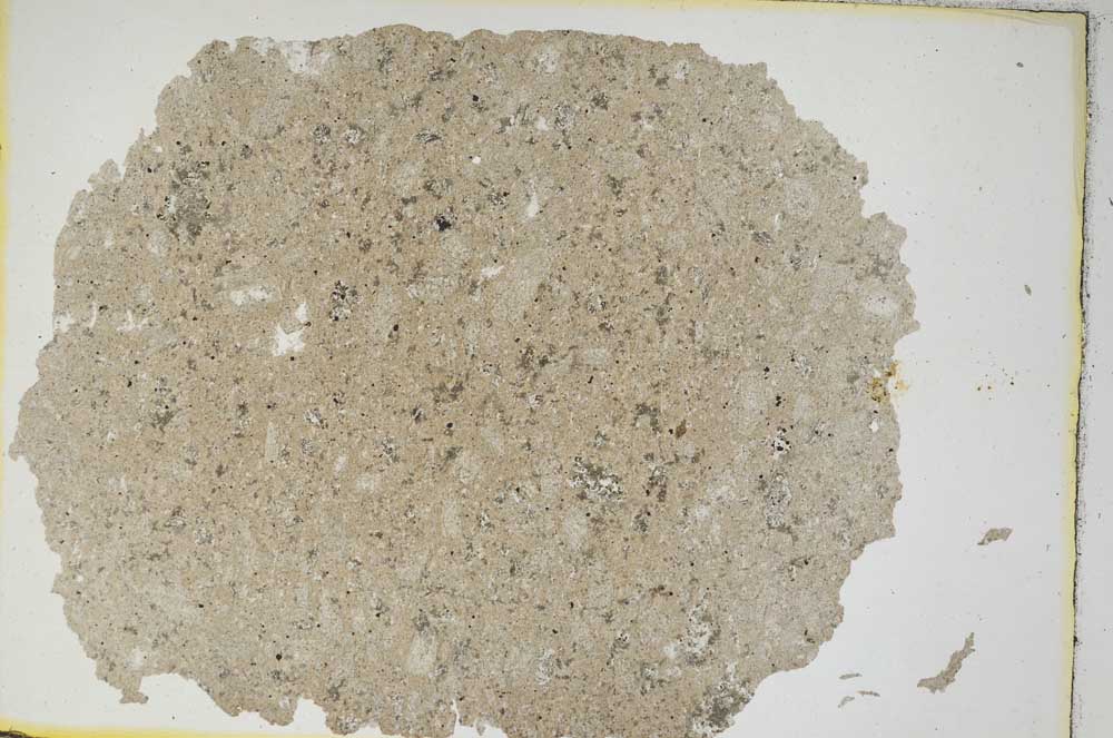 Plane Polarized, S8565