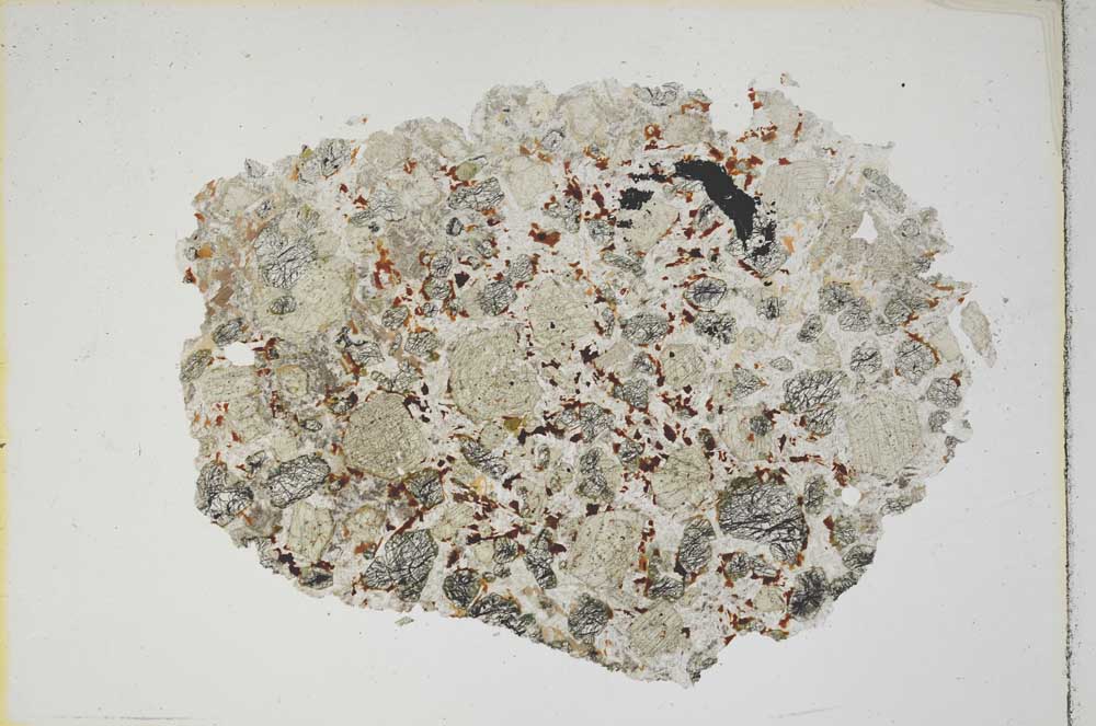 Plane Polarized, S8568