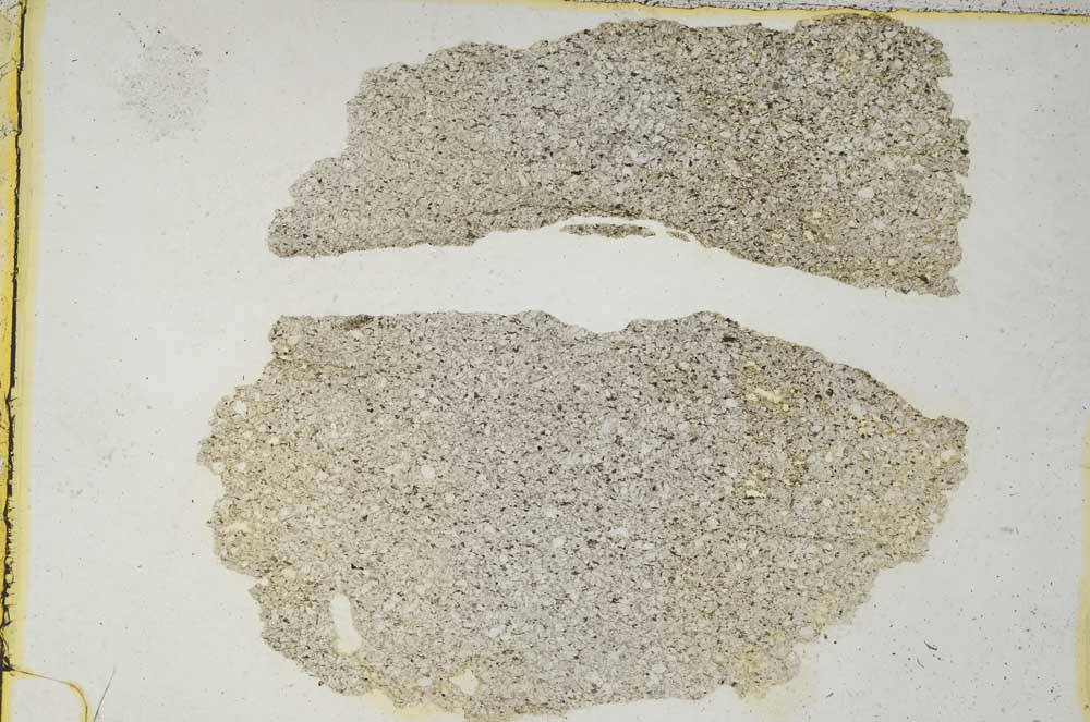 Plane Polarized, S8569