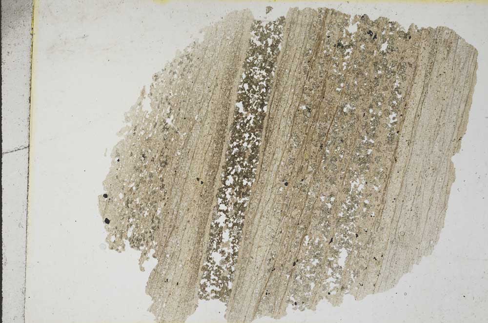 Plane Polarized, S8573