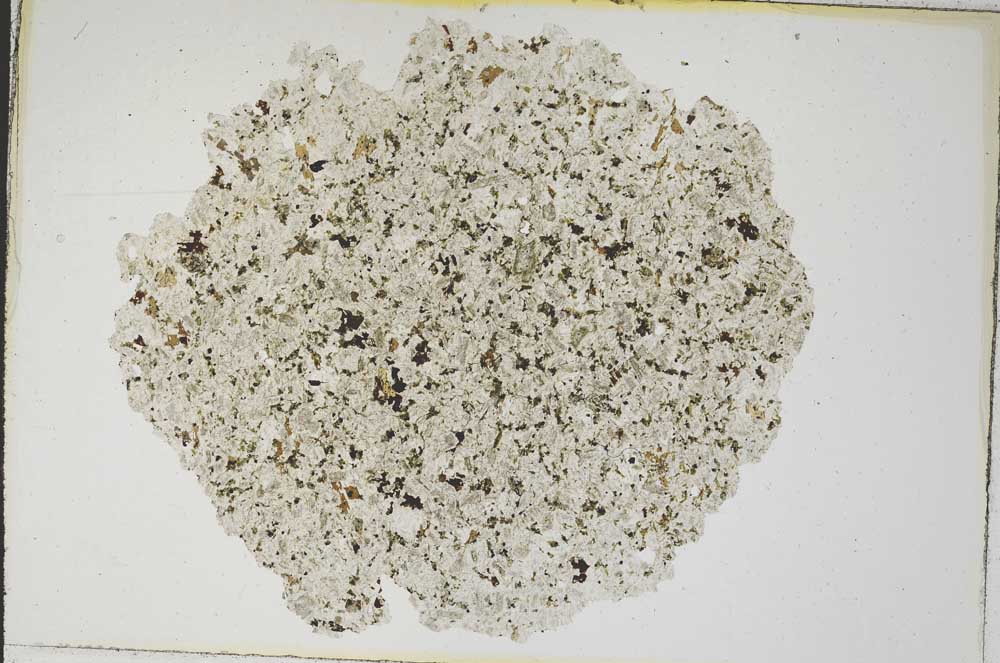 Plane Polarized, S8575