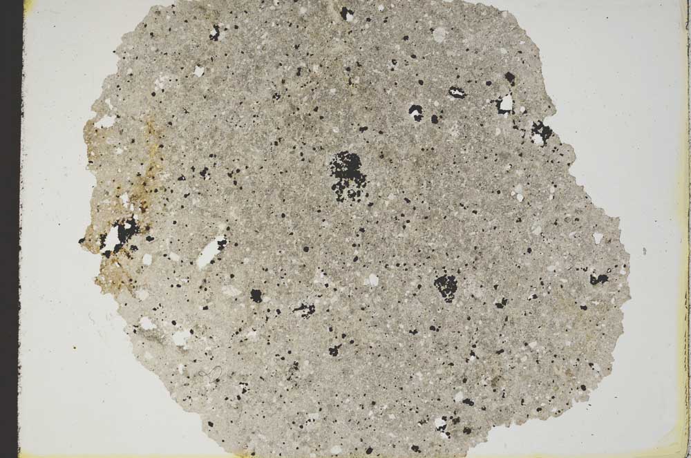 Plane Polarized, S8578