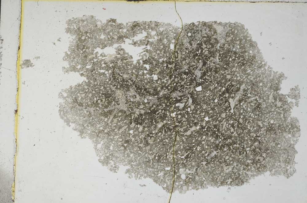 Plane Polarized, S8588