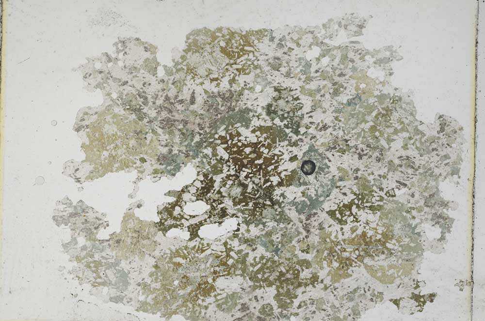 Plane Polarized, S8621