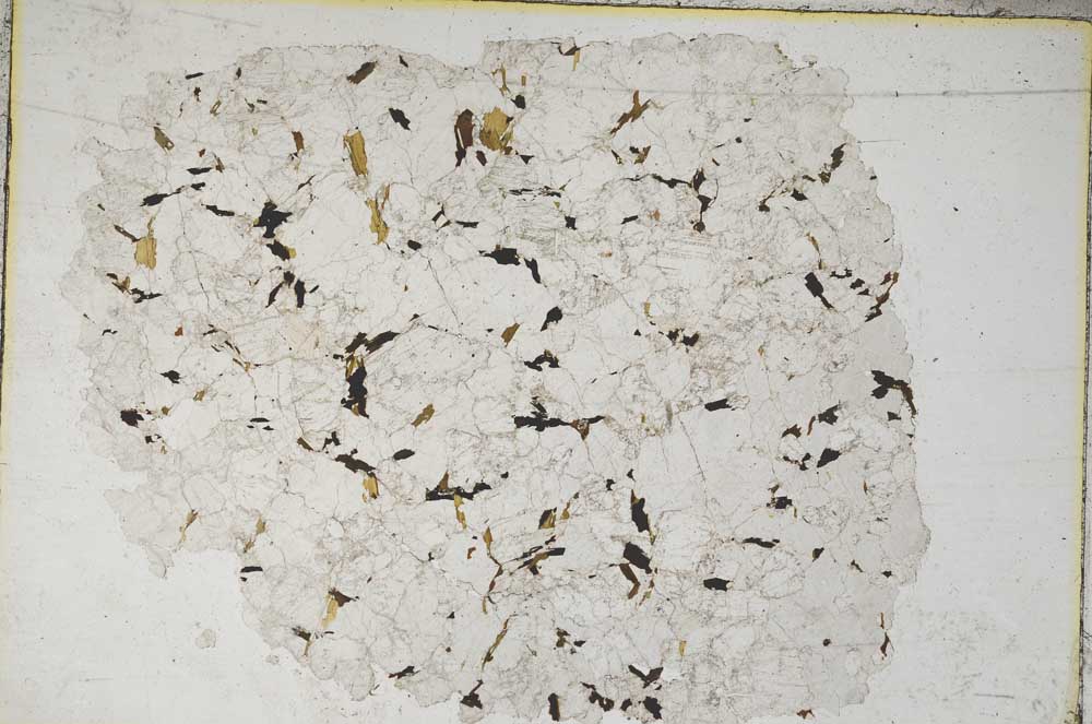 Plane Polarized, S8628