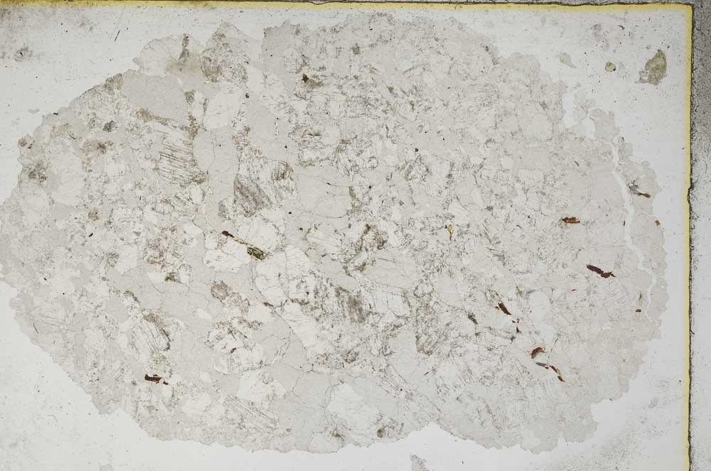 Plane Polarized, S8629