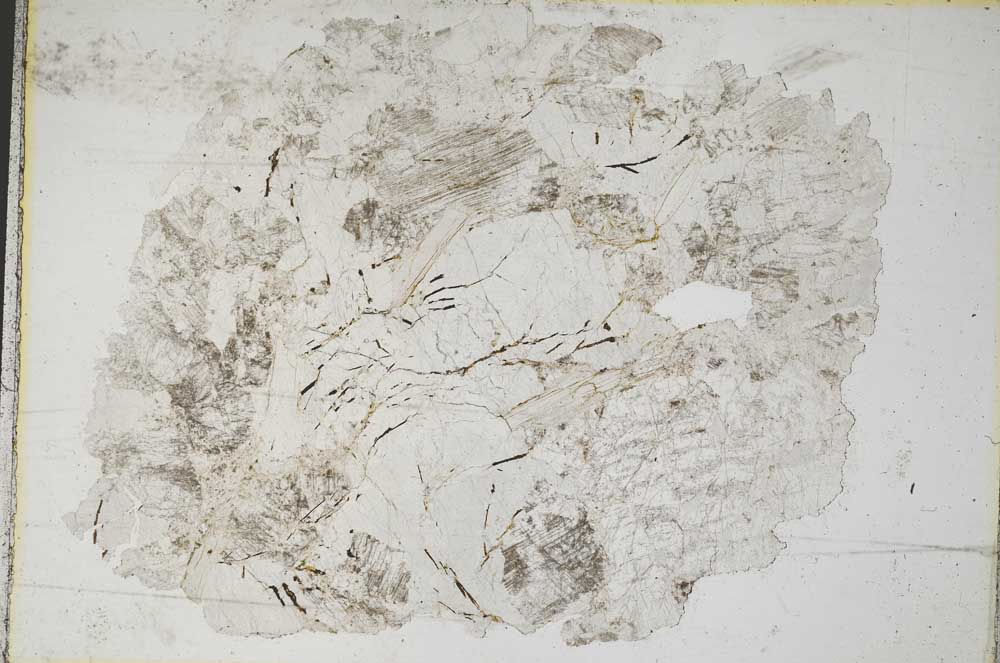 Plane Polarized, S8630