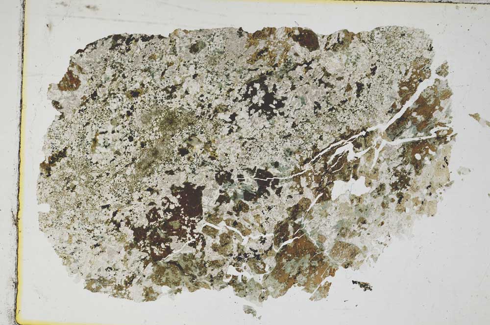 Plane Polarized, S8636