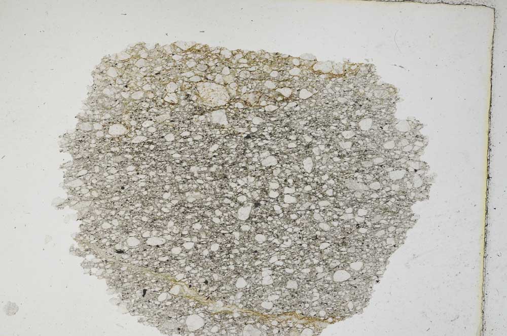 Plane Polarized, S8672