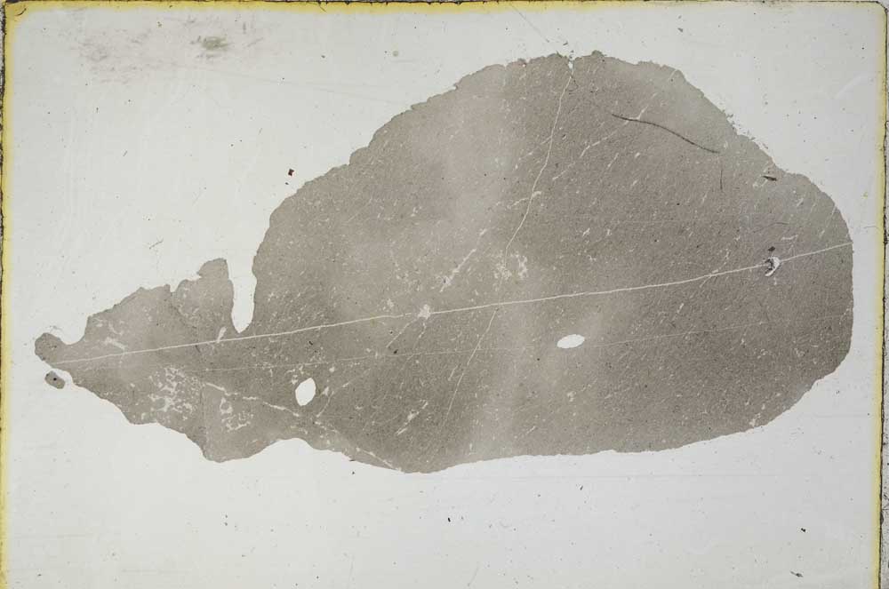Plane Polarized, S8679
