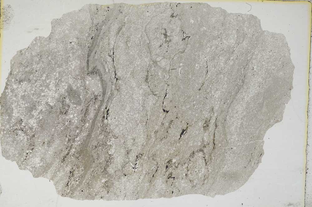 Plane Polarized, S8681