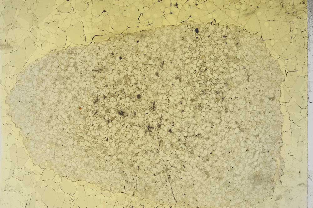 Plane Polarized, S8685