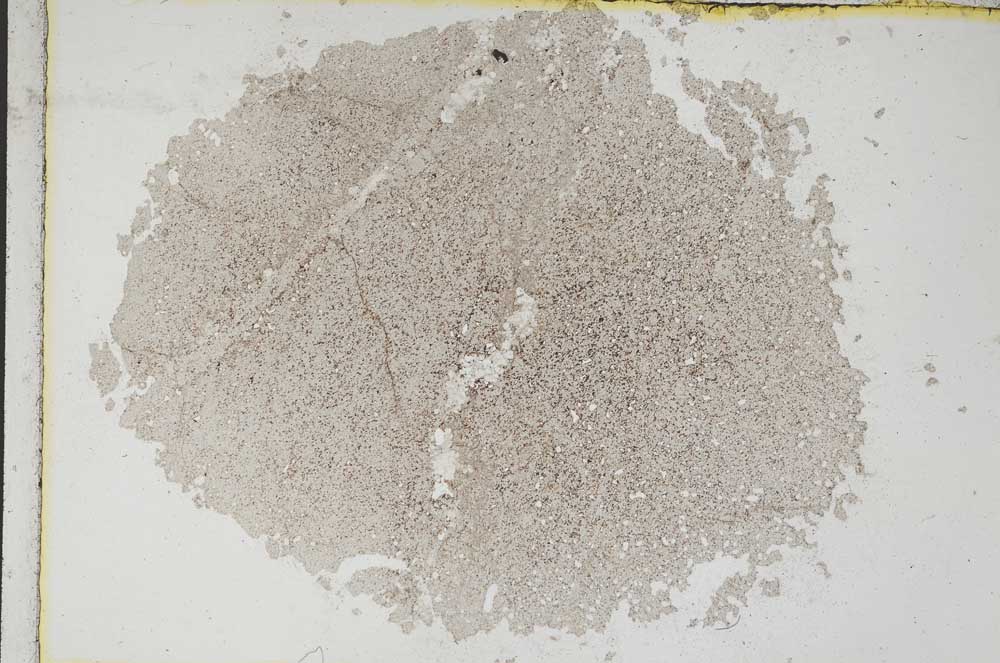 Plane Polarized, S8686