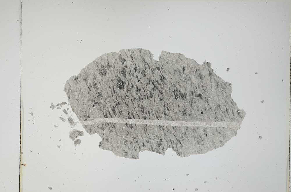 Plane Polarized, S8689