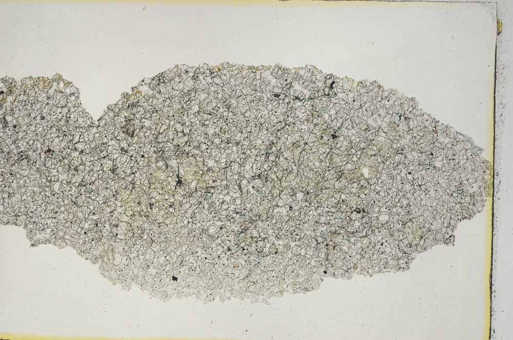 Plane Polarized, S8727