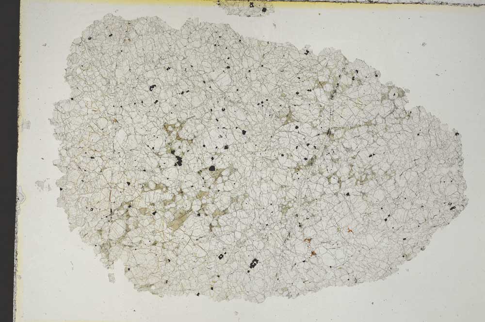 Plane Polarized, S8728