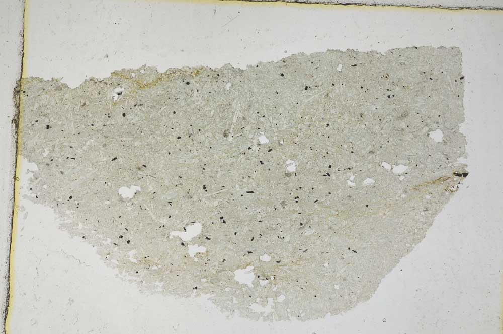 Plane Polarized, S8740