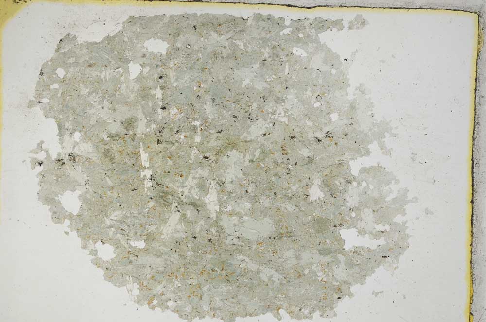 Plane Polarized, S8742