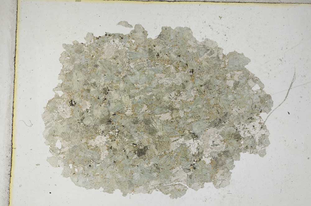 Plane Polarized, S8743