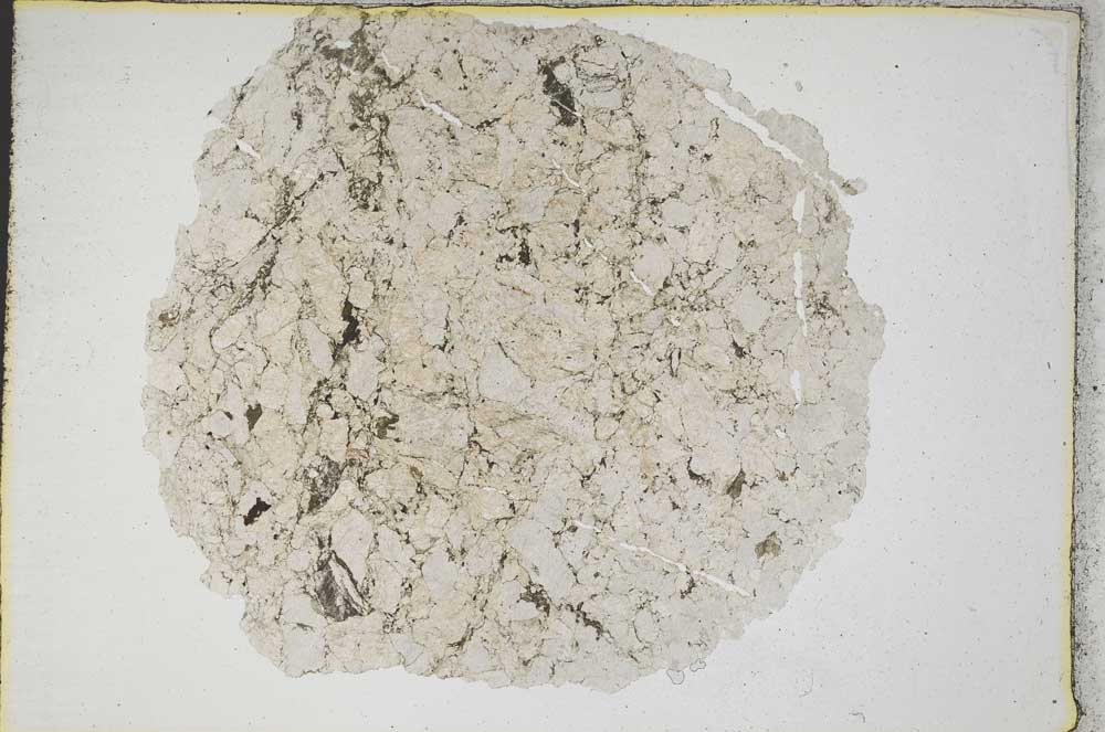 Plane Polarized, S8754