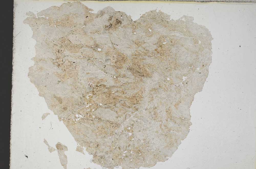 Plane Polarized, S8755