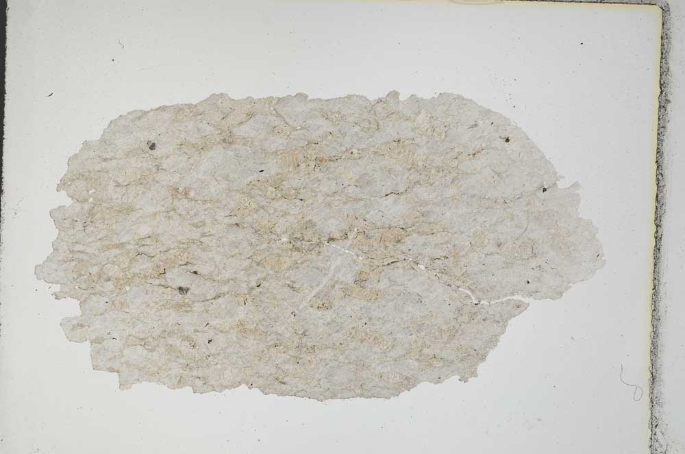 Plane Polarized, S8756