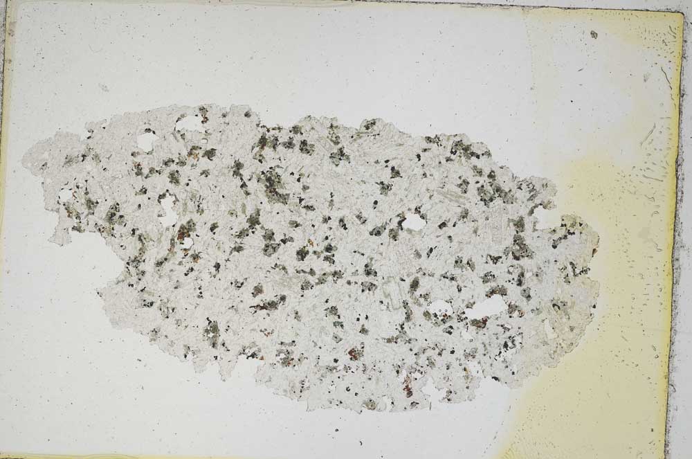 Plane Polarized, S8772