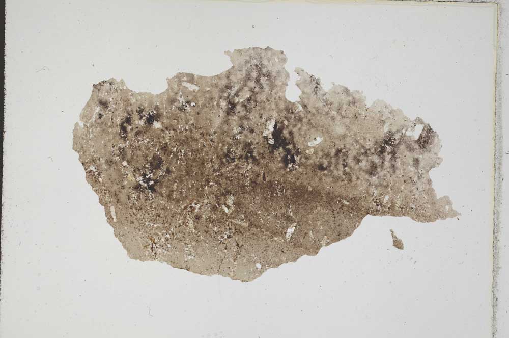Plane Polarized, S8777