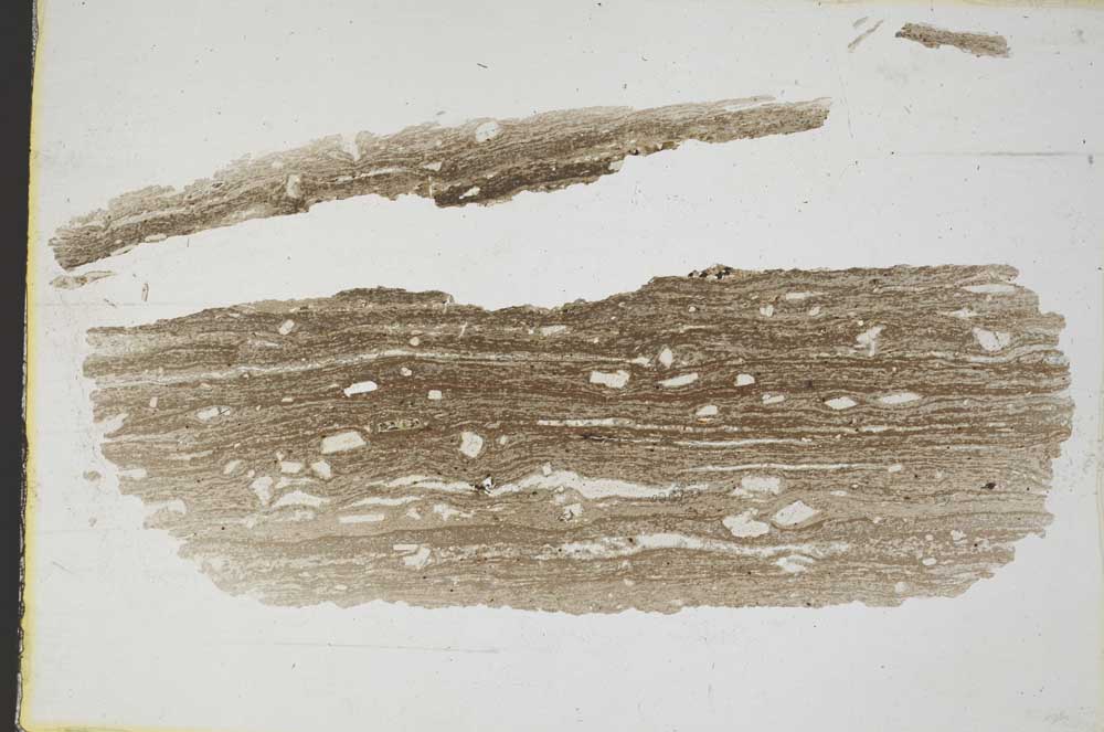 Plane Polarized, S8782