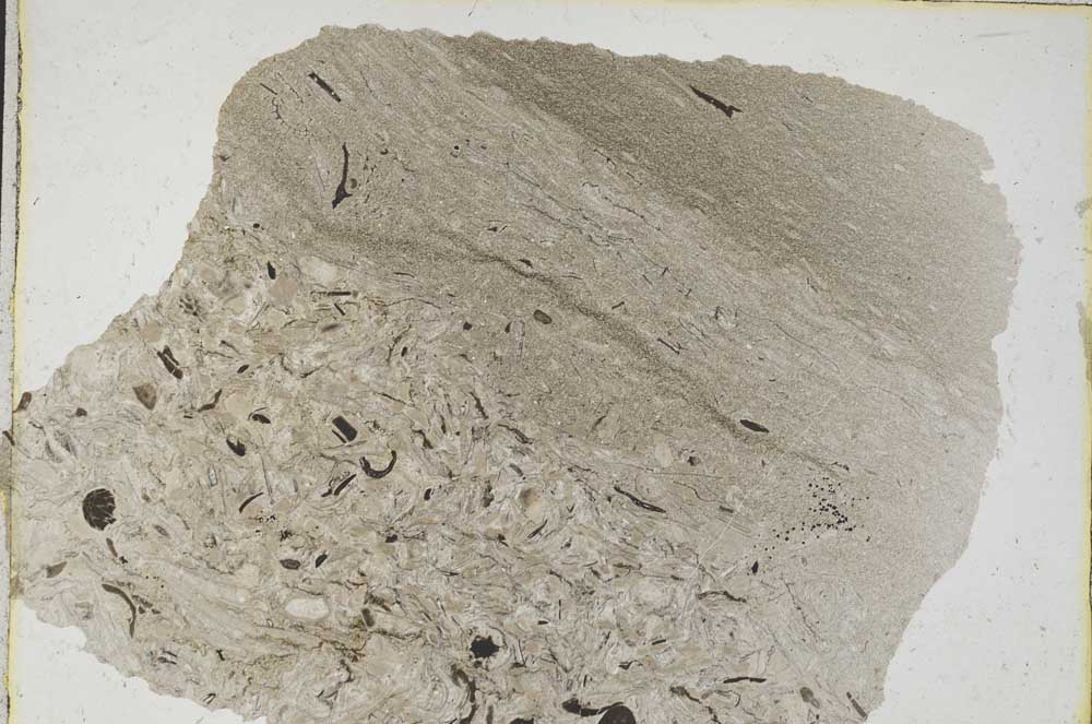 Plane Polarized, S8786