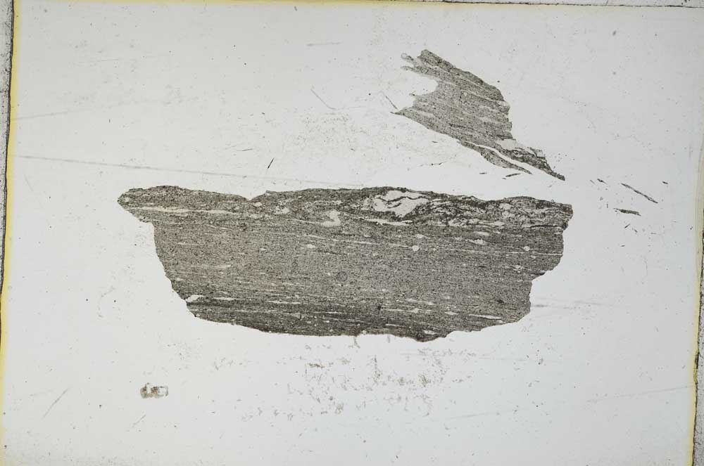 Plane Polarized, S8795