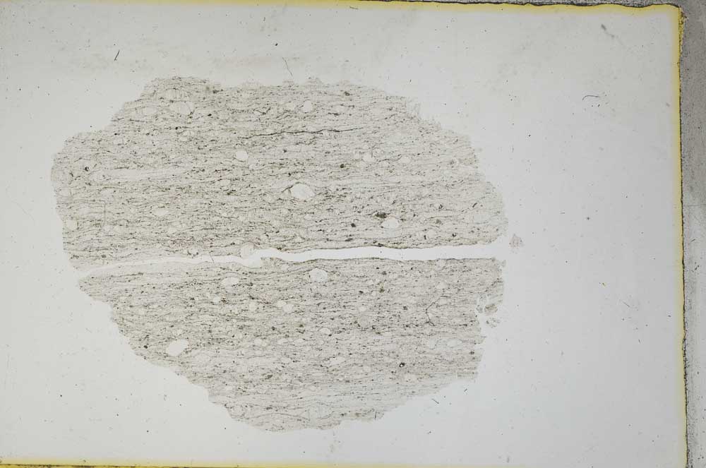 Plane Polarized, S8811