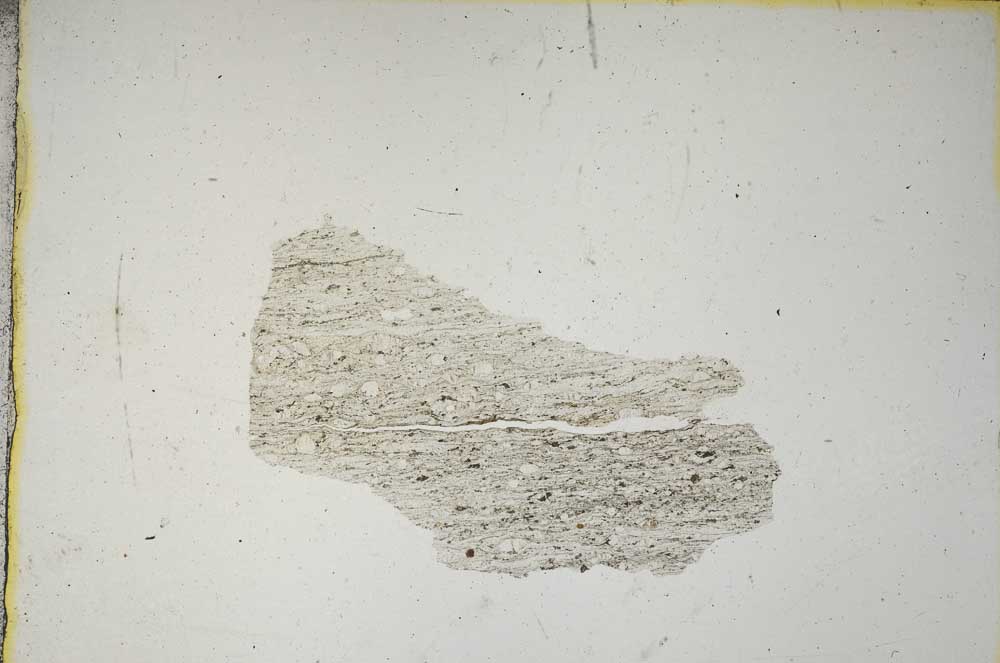 Plane Polarized, S8811/A