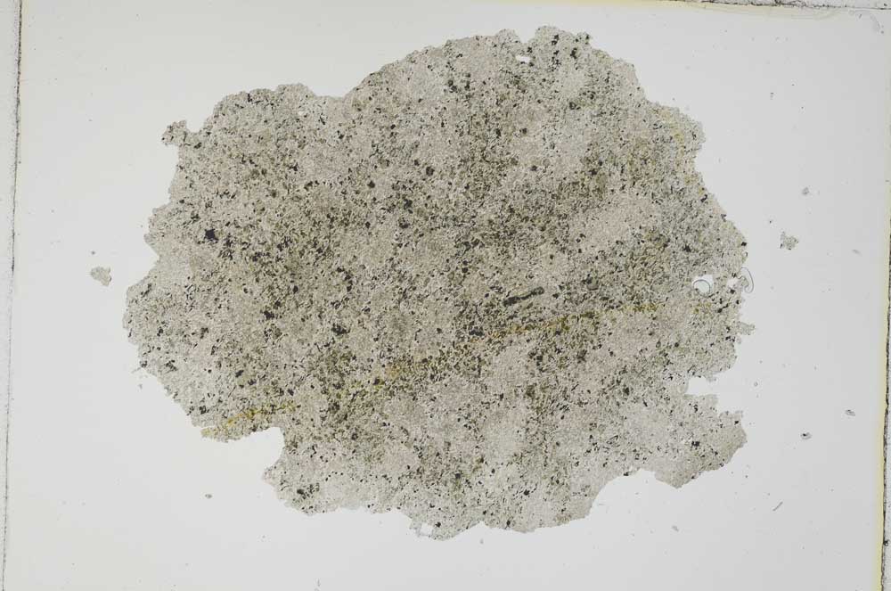 Plane Polarized, S8839