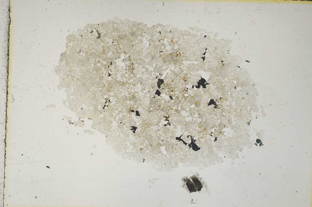 Plane Polarized, S8856