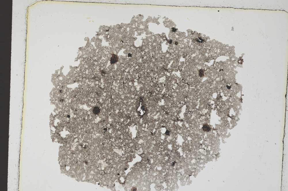 Plane Polarized, S8870