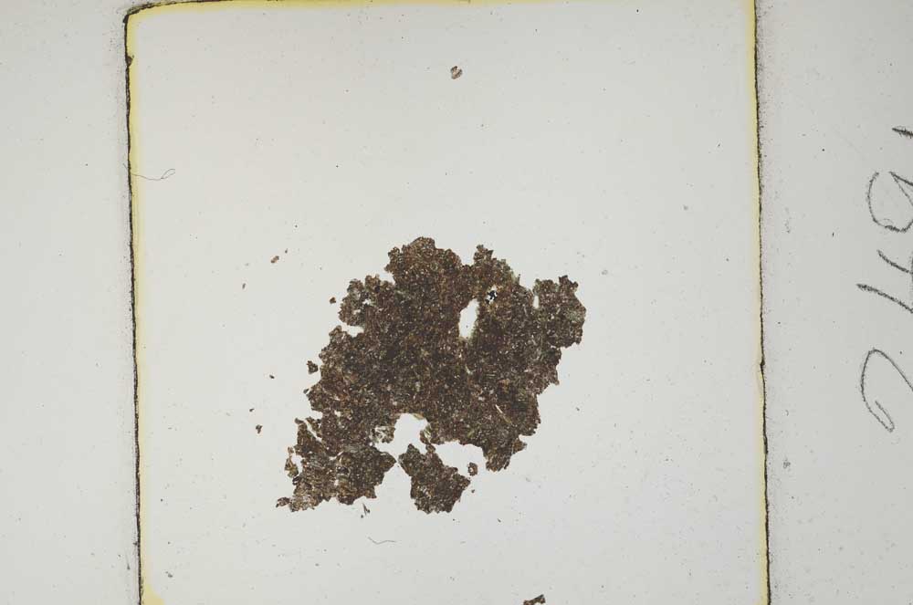 Plane Polarized, S249