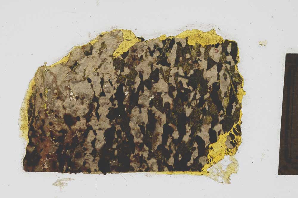 Plane Polarized, S268/B