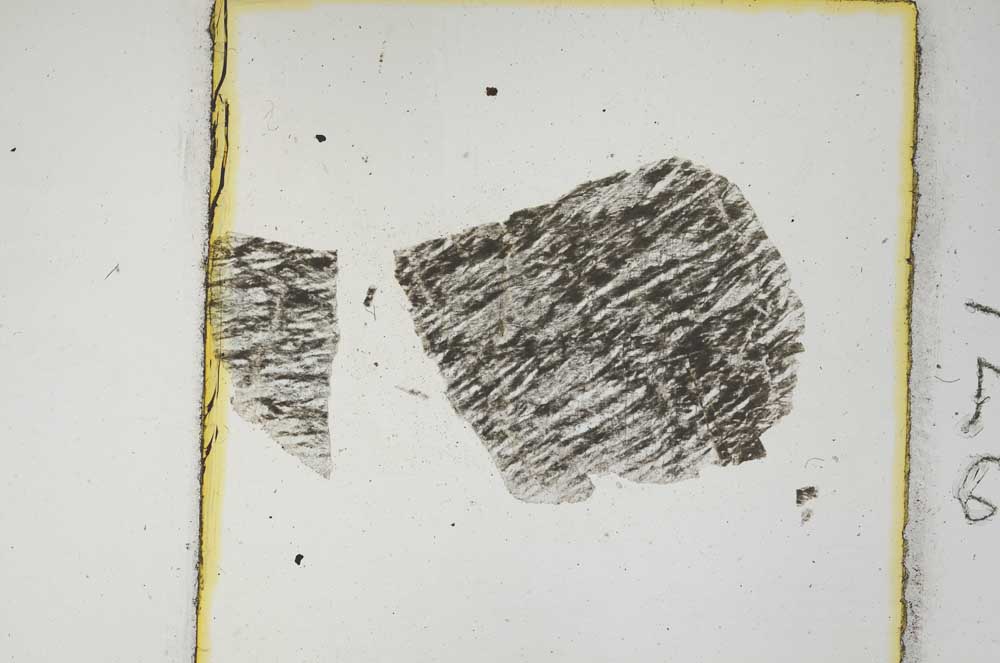 Plane Polarized, S274