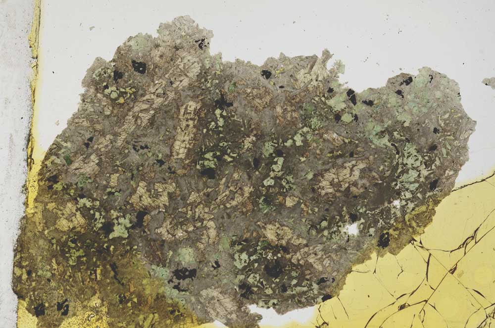 Plane Polarized, S275