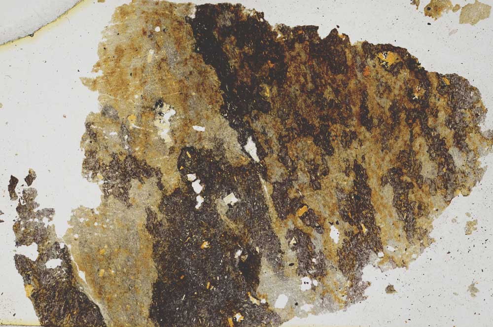 Plane Polarized, S279