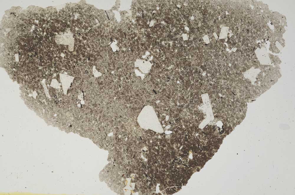 Plane Polarized, S282