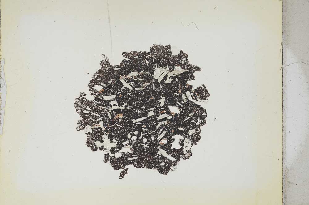 Plane Polarized, S283