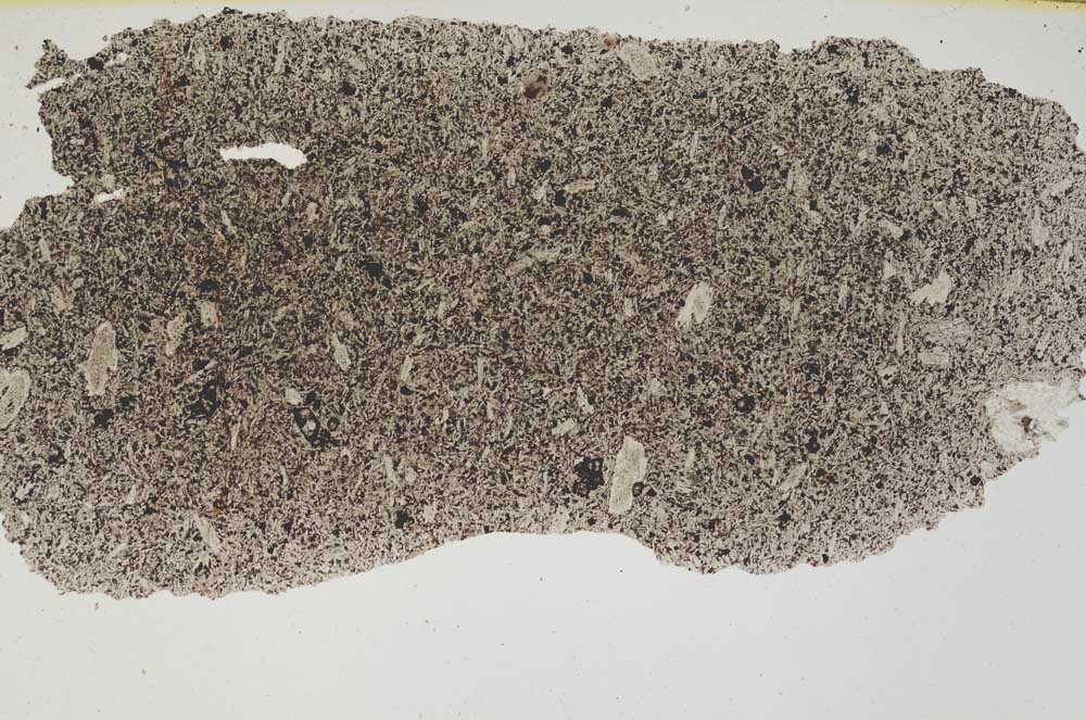 Plane Polarized, S286