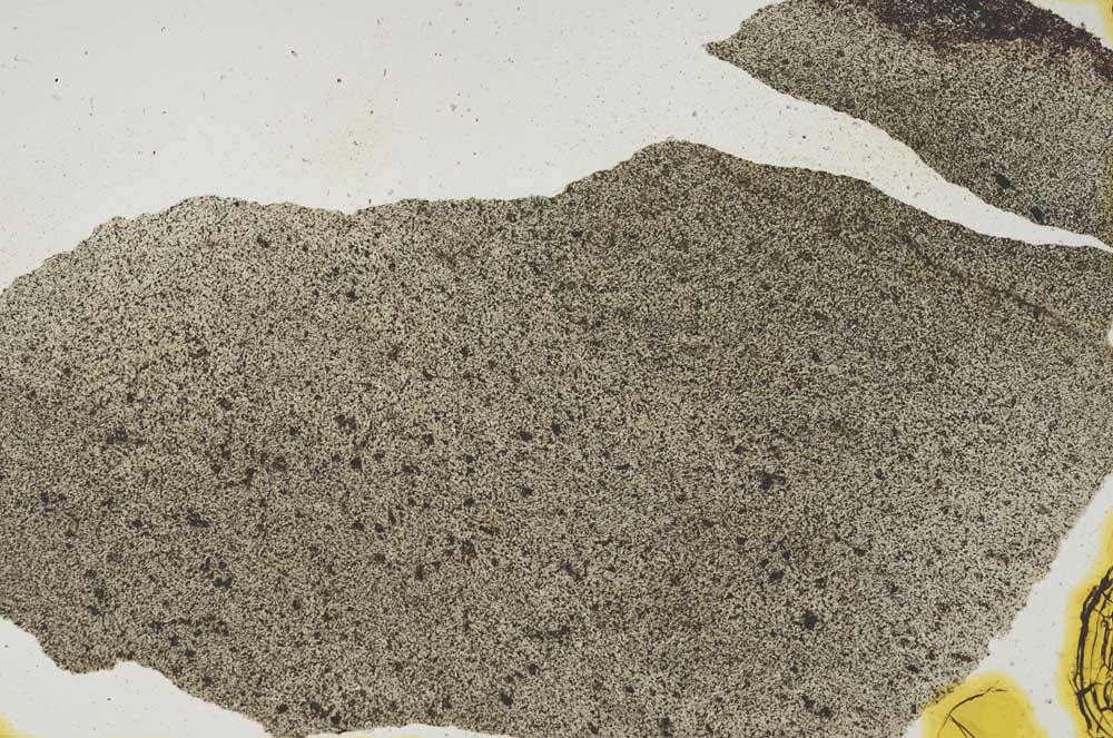 Plane Polarized, S290