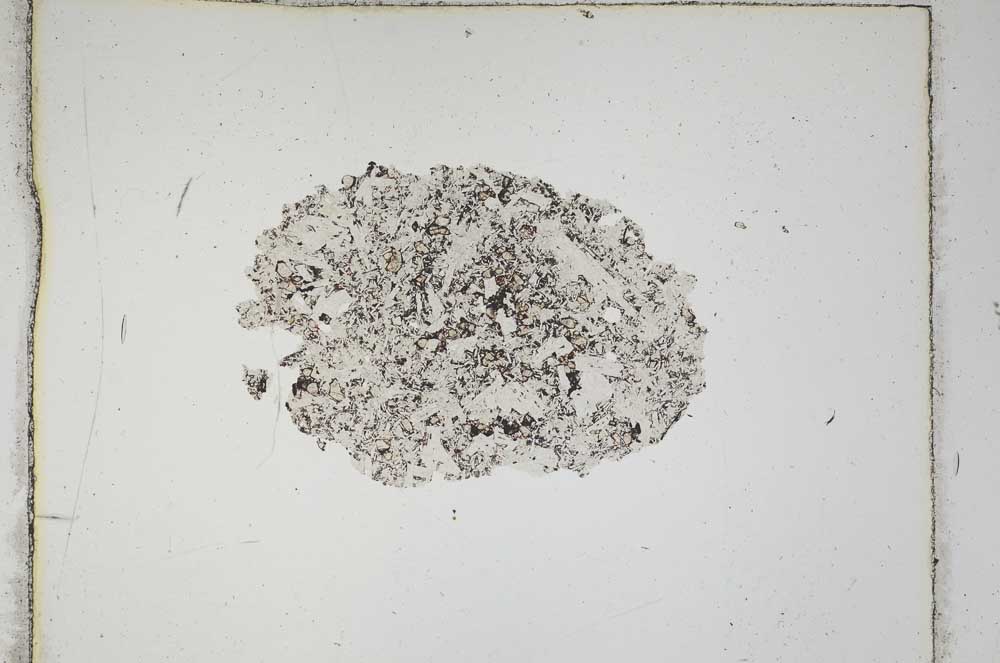 Plane Polarized, S293/A