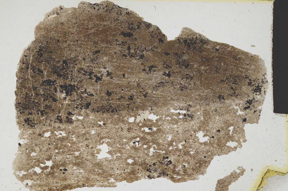 Plane Polarized, S297