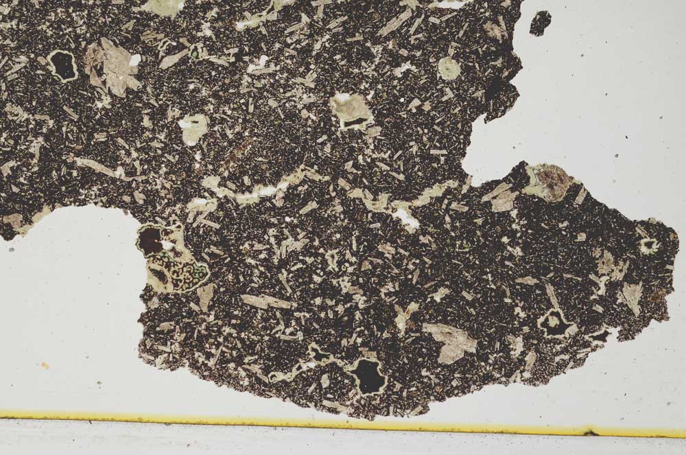 Plane Polarized, S298