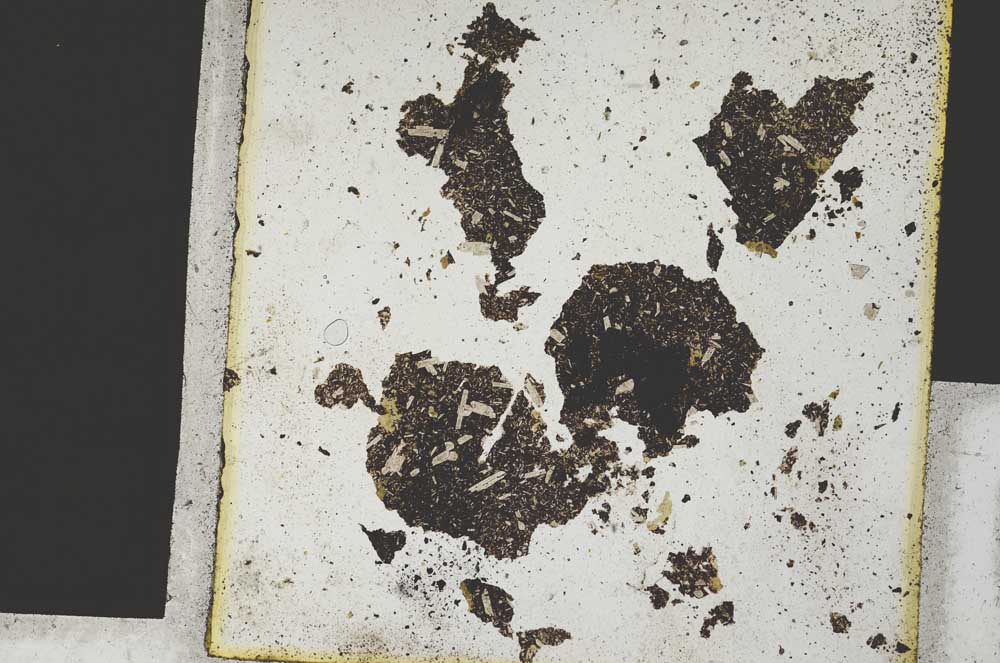 Plane Polarized, S300